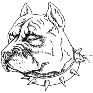 324x324 Afbeeldingsresultaat Voor Friendly Pitbull Pits