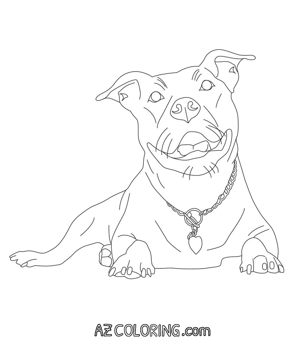 1000x1196 Only Pitbull Dogs Coloring Pages Colouring Page 2 Within