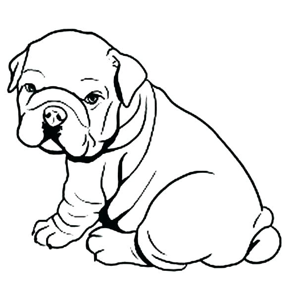 600x600 6 Images Of Dog Coloring Pages Dog Coloring Page Pit Bull Coloring