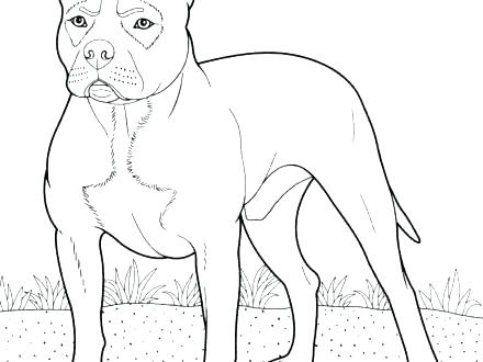 440x330 Pitbull Coloring Page Coloring Pages Page Free Pit Bull Line Art