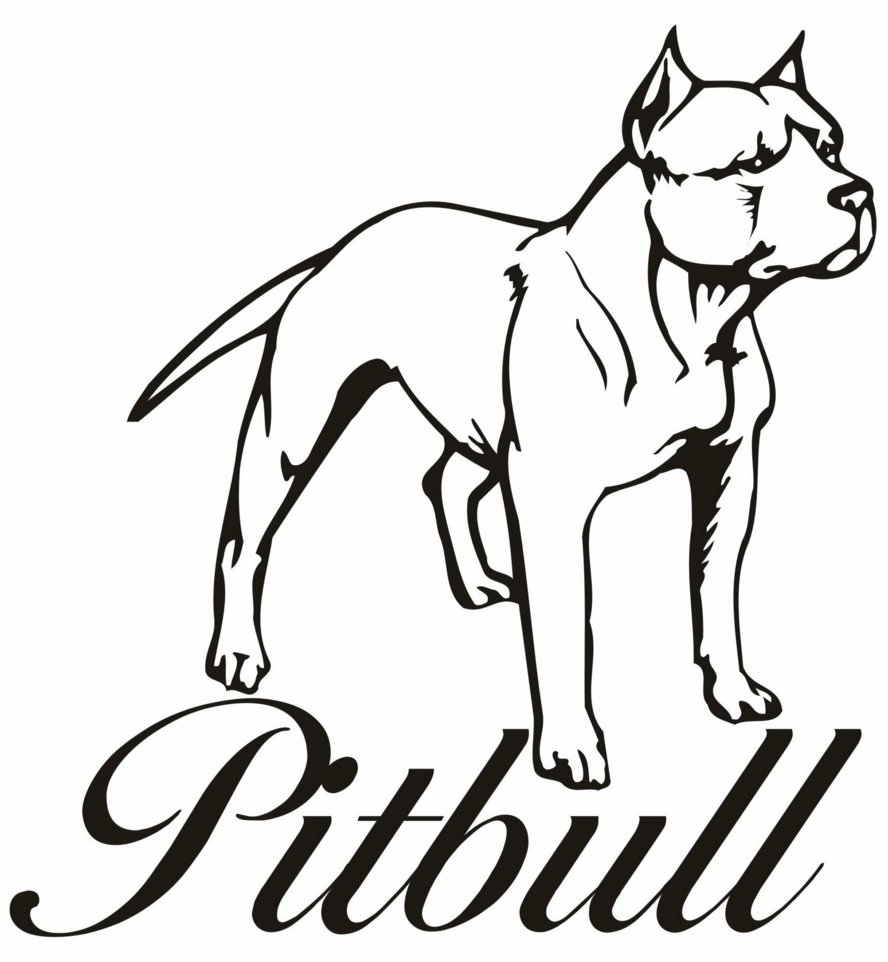888x962 Pitbull Coloring Pages To Download And Print For Free Pitbull