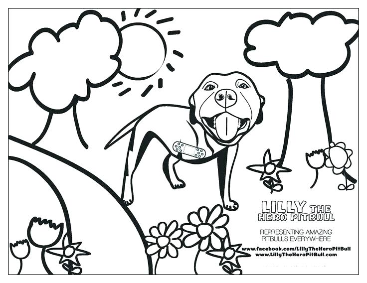 736x568 Coloring Page Pit Bull Coloring Sheets Puppy Coloring Page Pit
