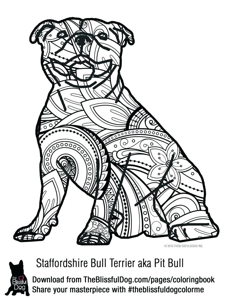 736x952 Pitbull Coloring Pages Coloring Page Coloring Page Coloring Page