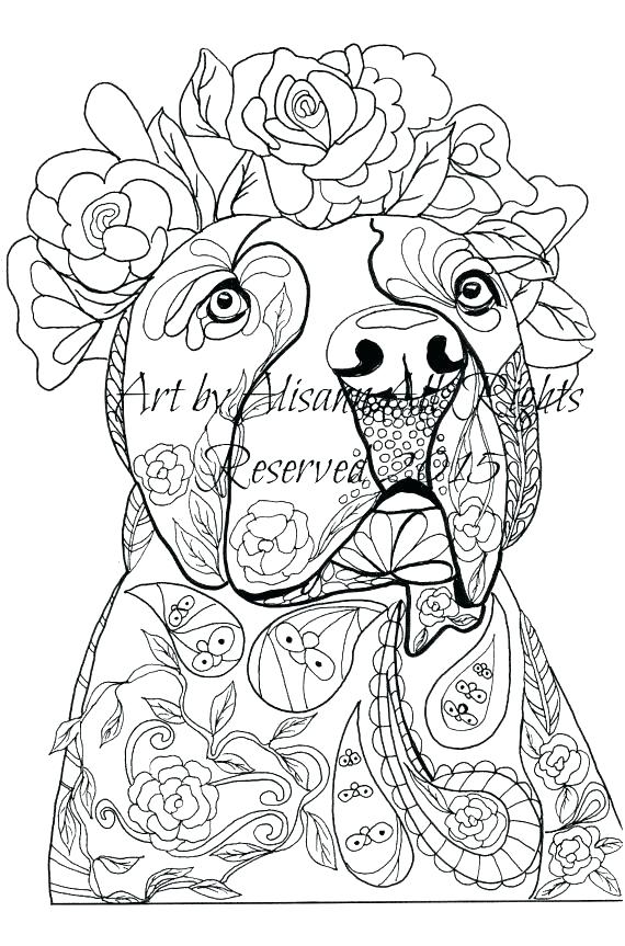 570x863 Coloring Pages Of Pit Bulls Coloring Pages Of Pit Bulls Coloring