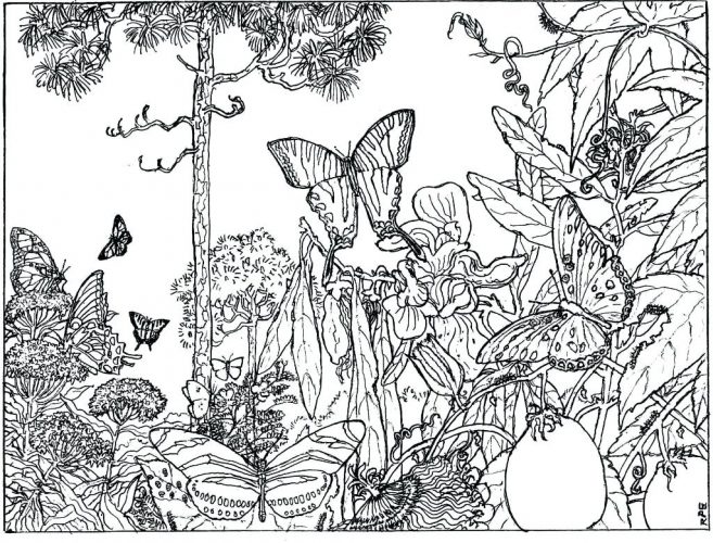 657x500 Coloring Pages Music Coloring Pages. Music Coloring Pages Free
