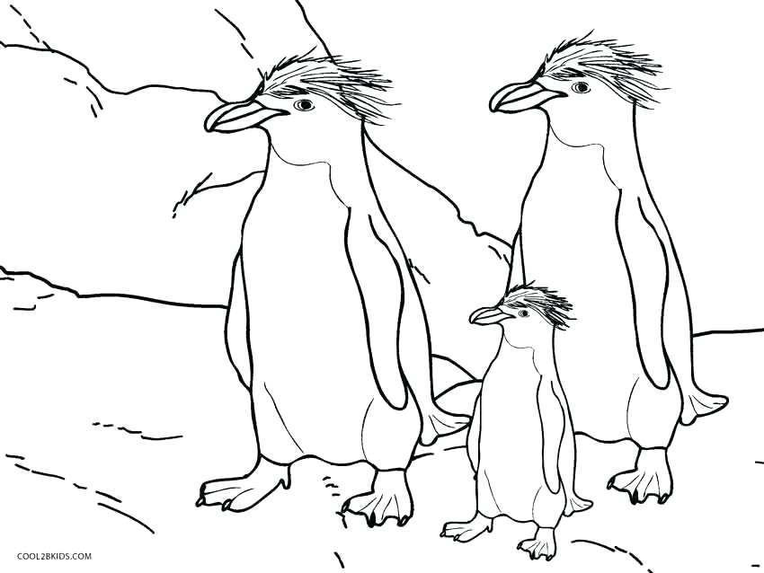 850x638 Penguins Coloring Pages Printable Penguin Coloring Pages For Kids