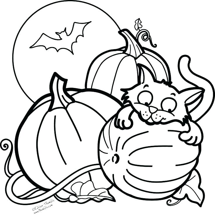 736x739 Inspiring Placemat Coloring Page Free Coloring Pages Bat Coloring