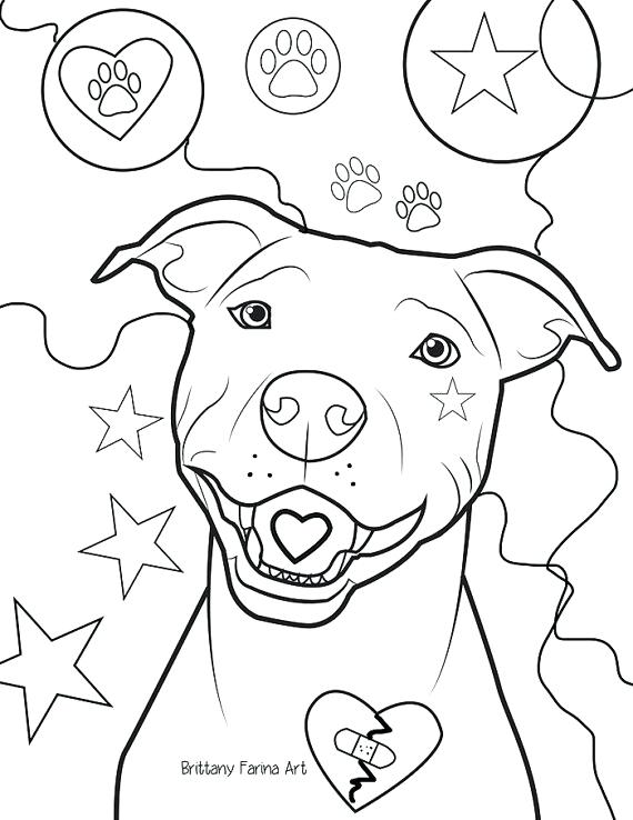 570x738 Pitbull Coloring Page Coloring Page Plain Coloring Pages Known