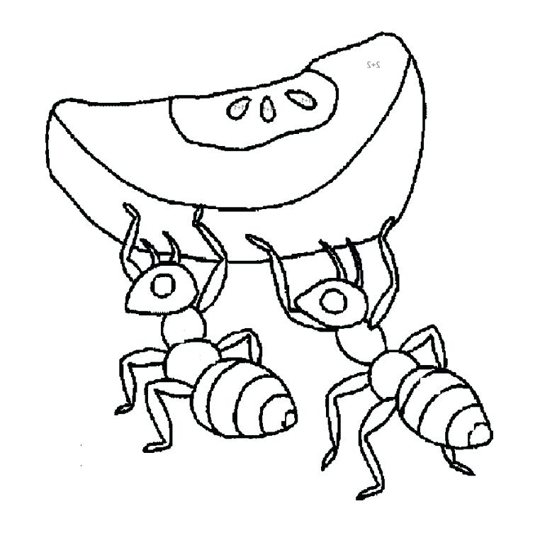 762x752 Sarah Plain And Tall Coloring Pages Ant Coloring Pages Sarah Plain