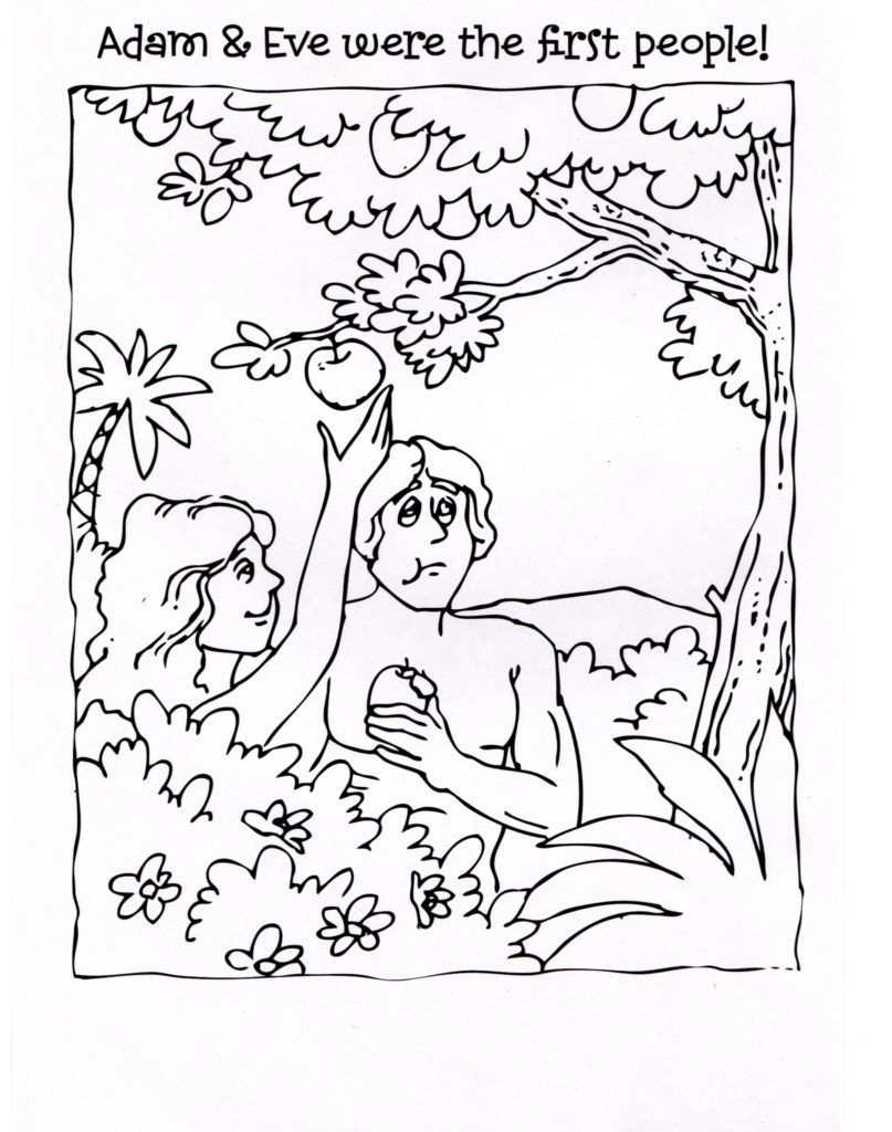 807x1024 Marvelous Httpcoloringscoadamandevecoloringpagesforkids Of Plan