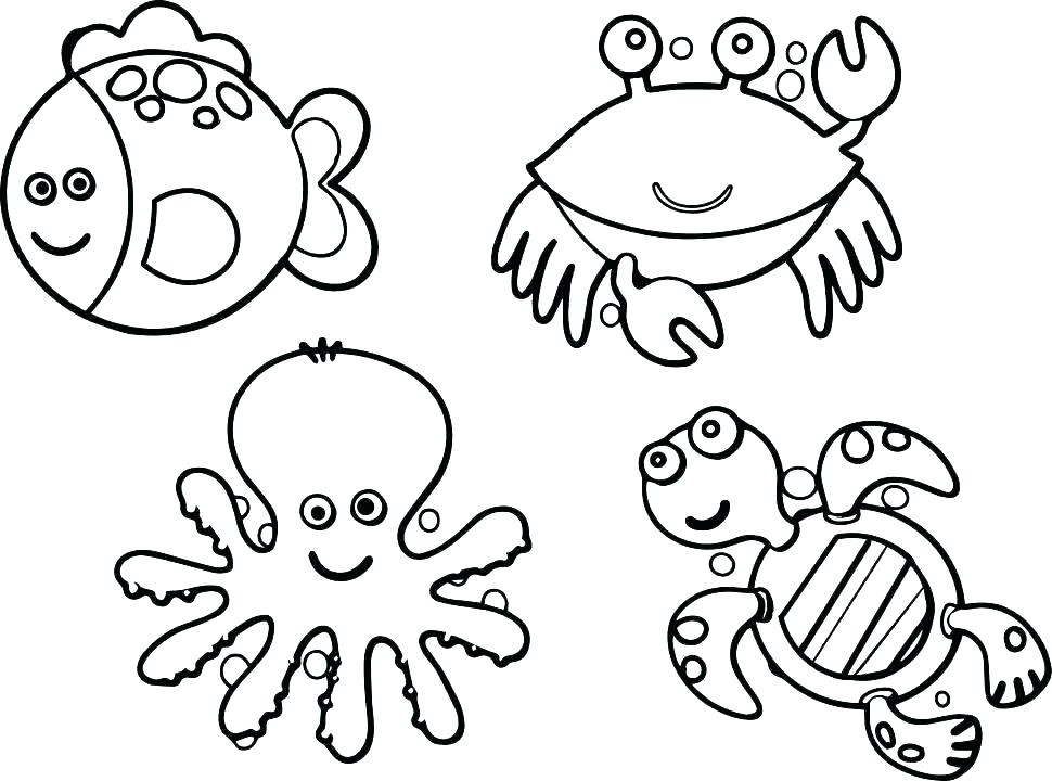 970x720 Plant Cell Coloring Page Cell Coloring Pages Plant Cell Coloring