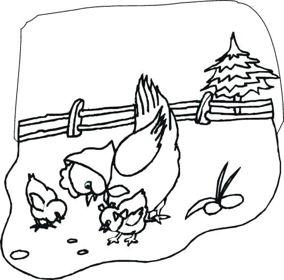 582x575 Plant Cell Coloring Sheet Cell Plant Animal Cell Coloring Pages