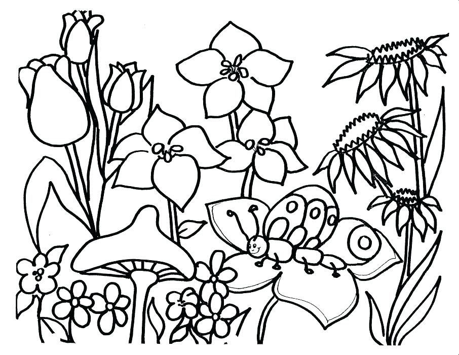 906x700 Plant Coloring Sheets Plants Coloring Page Download Flower