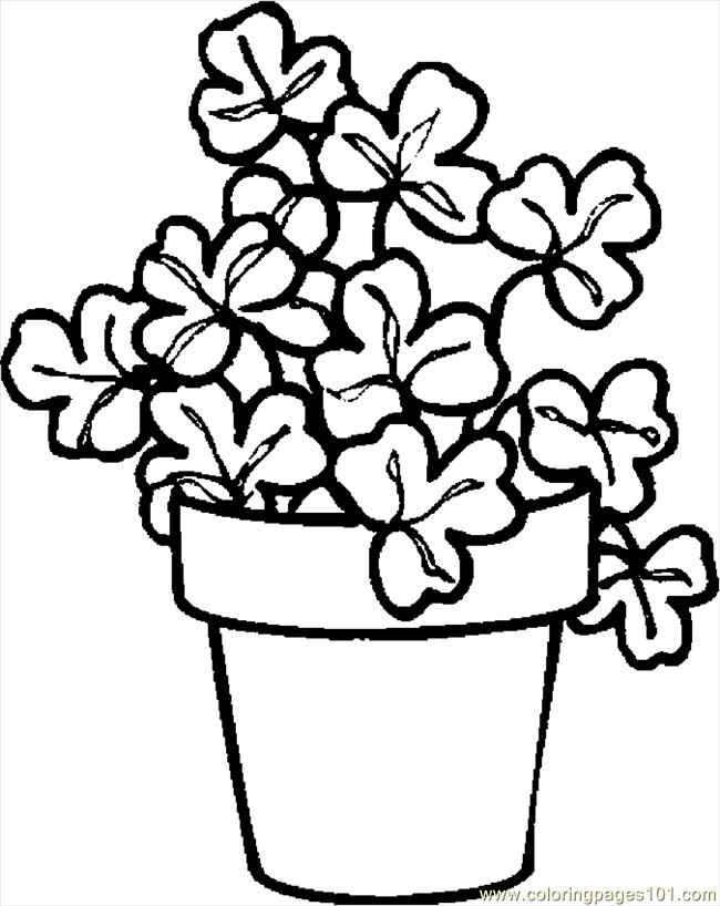 650x818 Plant Pictures To Color Plants Coloring Pages Printable Many