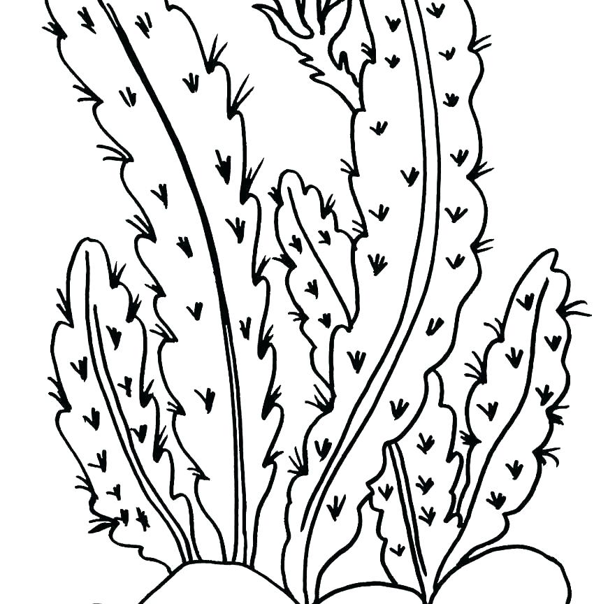 850x864 Coloring Pages Plants Nature The Sun And Plants Of Nature Coloring