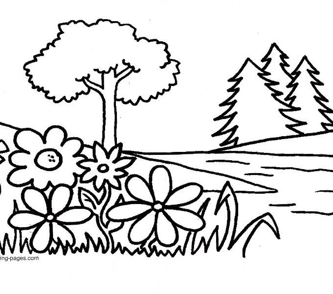 678x598 Colouring Pictures Of Plants Free Coloring Page