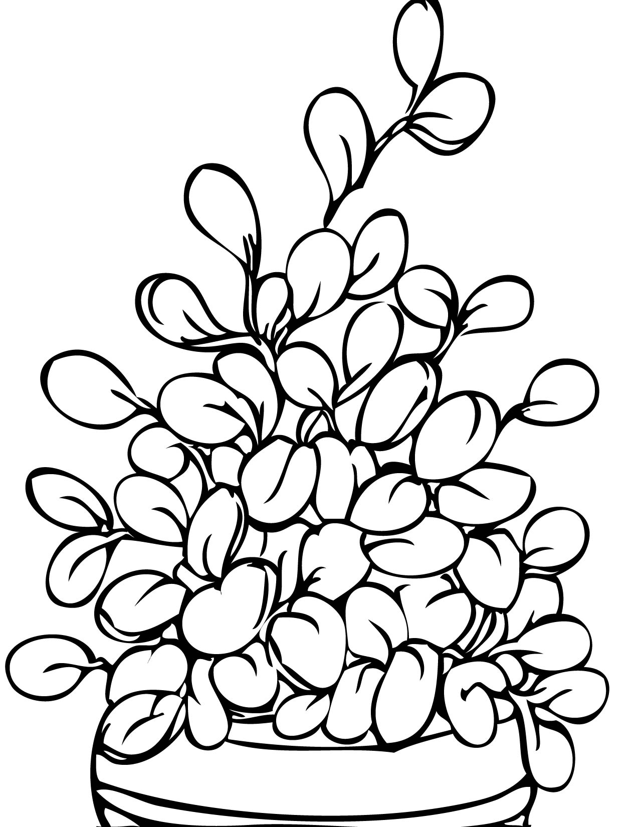 Plant Coloring Pages For Kids