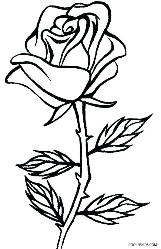 531x820 Plant Coloring Cell Coloring Page Best Of Cell Coloring Page All