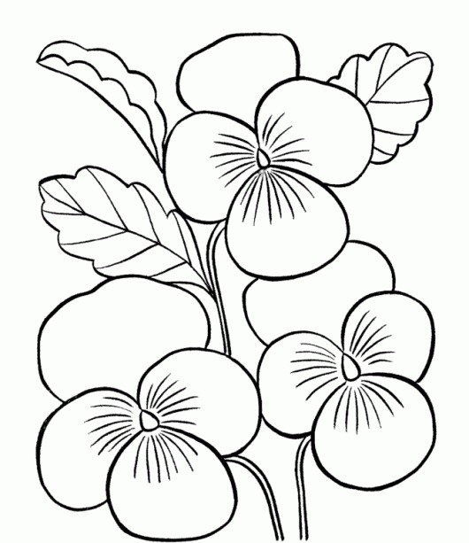 530x613 Printable Coloring Pages For Kids Flowers World Of Printable