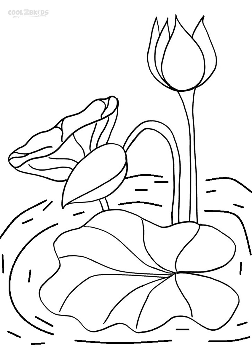 850x1169 Printable Lily Pad Coloring Pages For Kids Cool2bkids