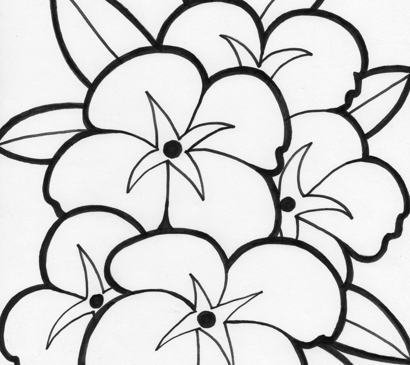 1350x1200 Rainforest Plants Coloring Pages Nice Kids How To Draw Free