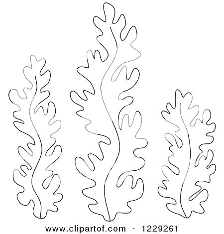 450x470 Seaweed Coloring Pages Seaweed Coloring Pages Ocean Plants