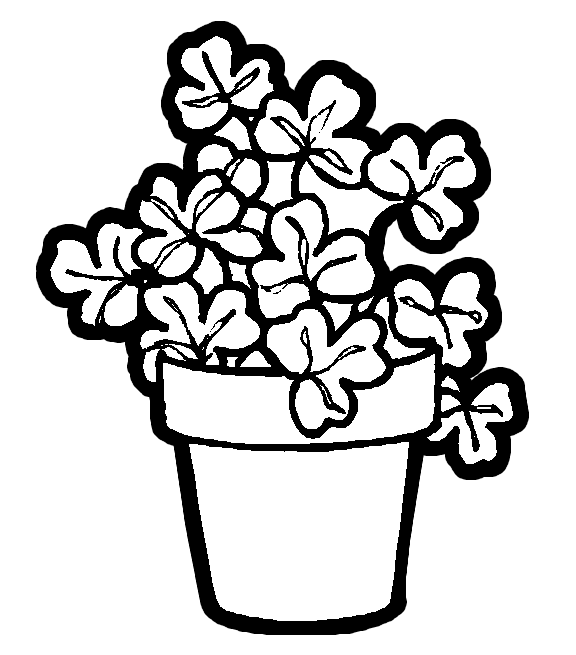 576x655 Shamrocks Plant Flower Coloring Book Page Printable Flowers