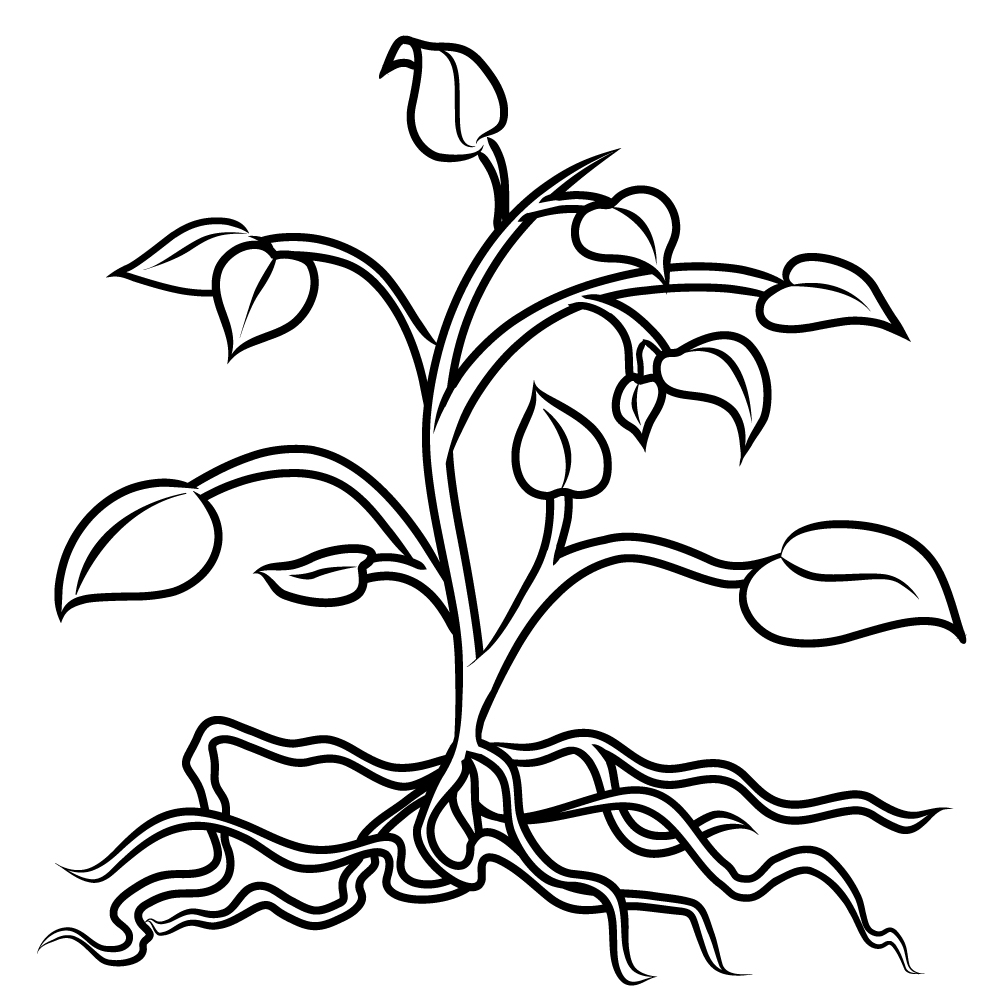 1000x1000 Plant Coloring Pages To Download And Print For Free Ribsvigyapan