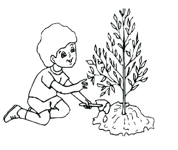 618x522 Parts Of A Flower Coloring Page Flower Worksheets For Kindergarten