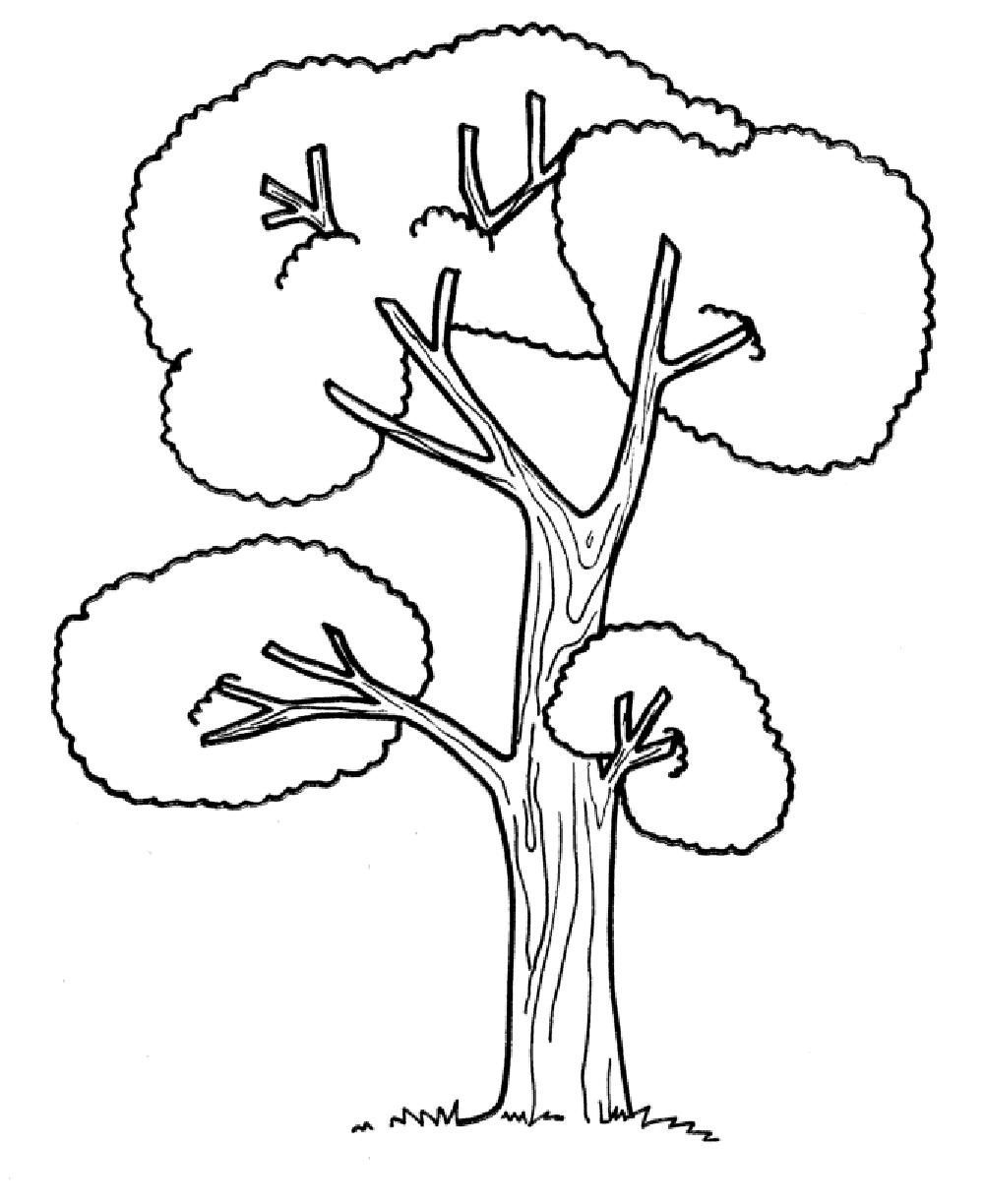 1000x1224 Plant Coloring Sheets For Kindergarten Coloring Sheet