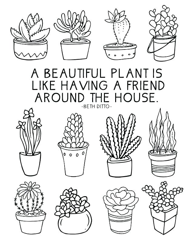 640x800 Plants Coloring Pages Preschool Ocean Fun Sheet Full Of Succulents