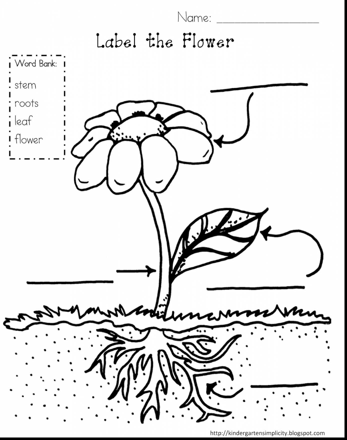 1390x1760 Spotlight Plant Coloring Pages For Preschoolers Wonderful Label