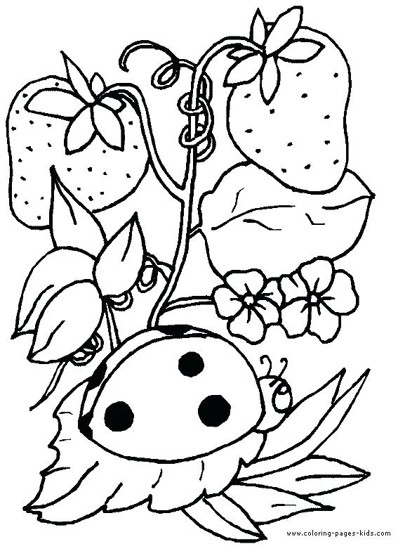 567x784 Coloring Page Strawberry Ladybug With Strawberries Animal Coloring