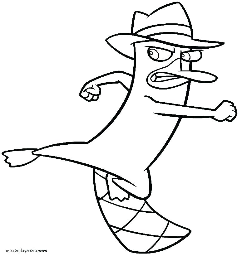 775x821 Platypus Coloring Page Animal Coloring Page Platypus Print Size