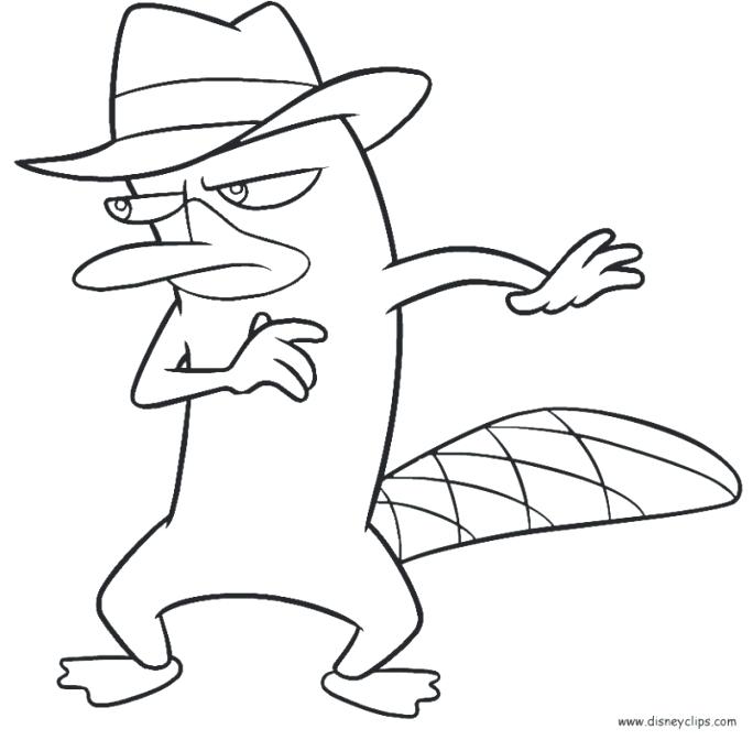 684x672 Platypus Coloring Page Cute The Platypus Coloring Pages Free Baby