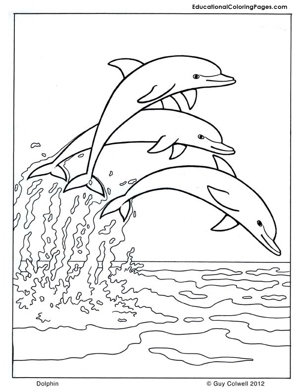 612x792 Platypus Coloring Animal Coloring Pages For Kids