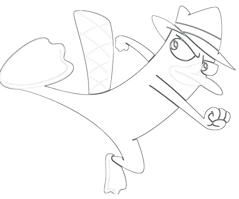 800x667 The Platypus Coloring Pages The Platypus Coloring Pages
