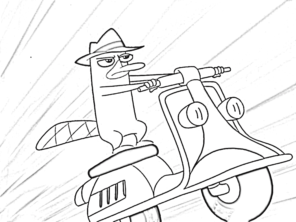 1024x768 Enormous Duckbill Platypus Coloring Page Perry