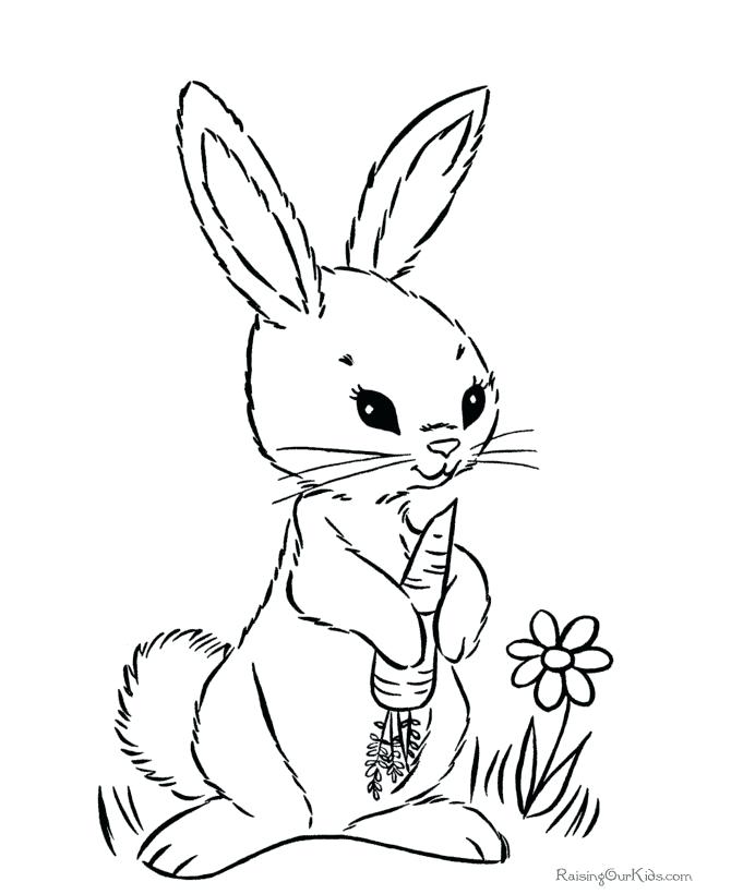 670x820 Bunny Pictures To Print Plus Best Bunny Paws Ideas On Bunny Tracks