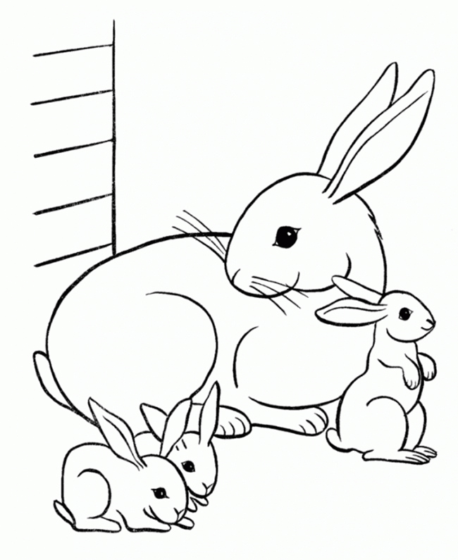 650x795 Exelent Rabbit Template Inspiration
