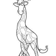220x220 Elephant Playing Cards Coloring Pages