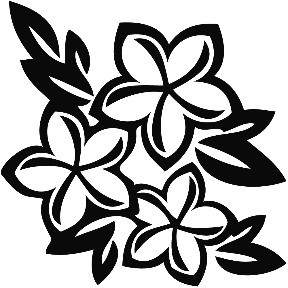 1000x1000 Hawaiian Tree White Flowers Jos Gandos Coloring Pages For Kids