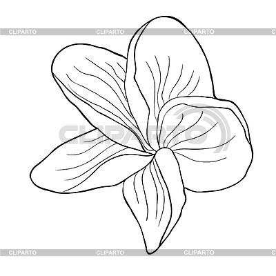 400x400 Hawaiian Flowers Stock Photos And Vektor Eps Clipart Cliparto