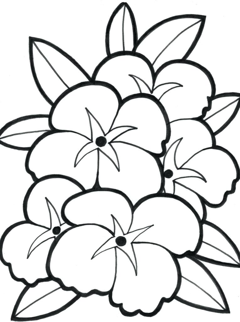 765x1024 Cute Flower Coloring Pages Cute Flower Coloring Pages For Kids