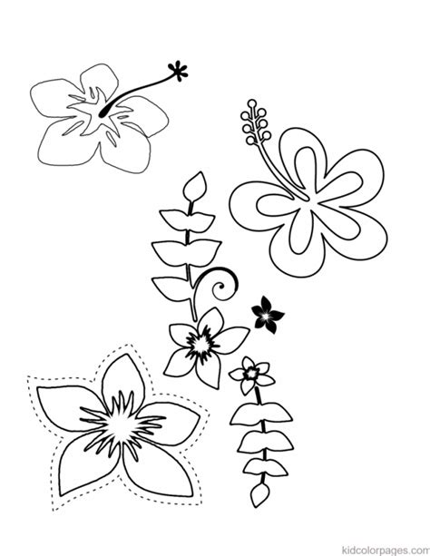 474x613 Hawaiian Flower Coloring Pages Coloring Home, Hawaiian Flower