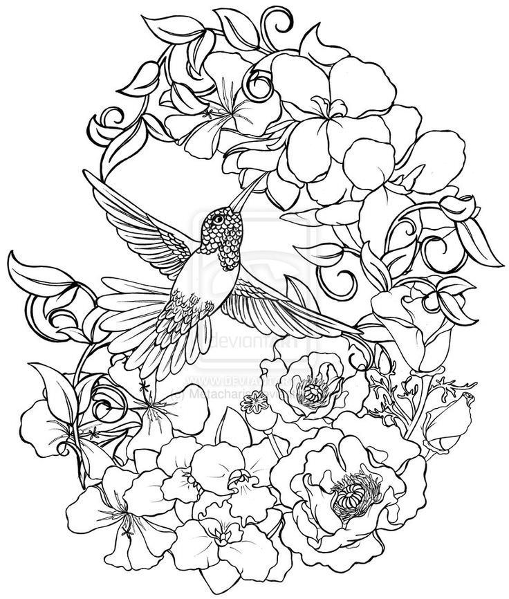 736x866 Hummingbird And Flower Coloring Pages