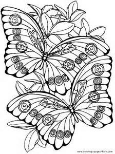 224x300 Plumeria Frangipani Flower, Description Frangipani Flowersjpg