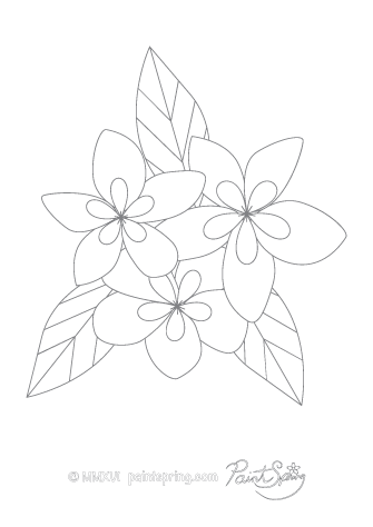 335x474 Printable Flower Adult Coloring Book {Get 3 Free Pages}