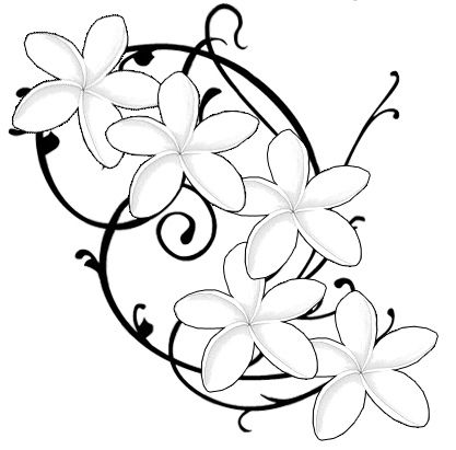 417x411 Tattoo Frangipani Tattoo, Tattoo Designs And Tattoo