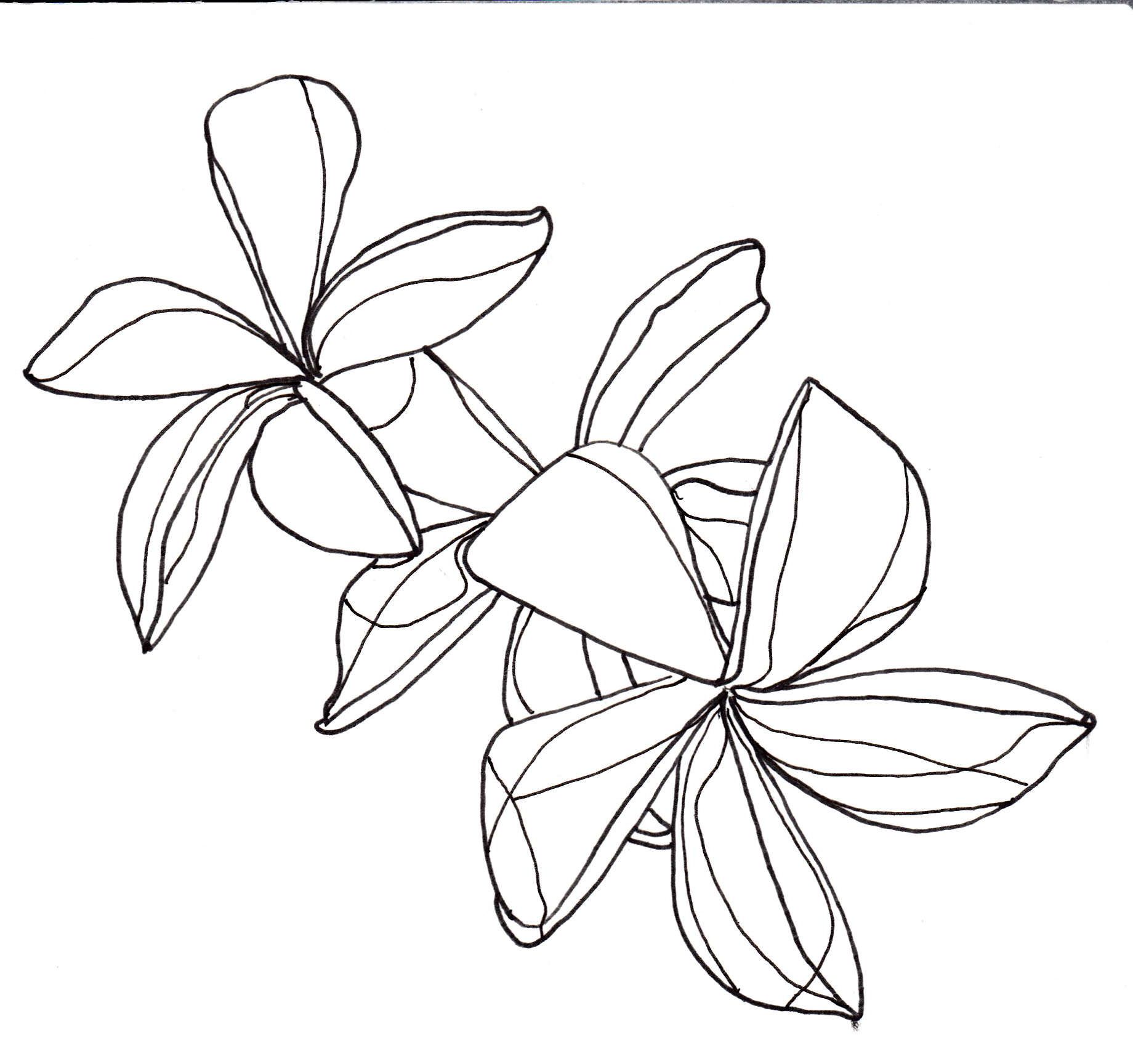 1840x1728 Line Drawing